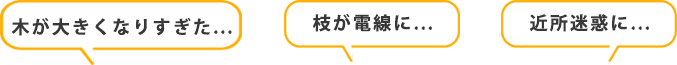 木が大きくなりすぎた…　枝が電線に…　近所迷惑に…