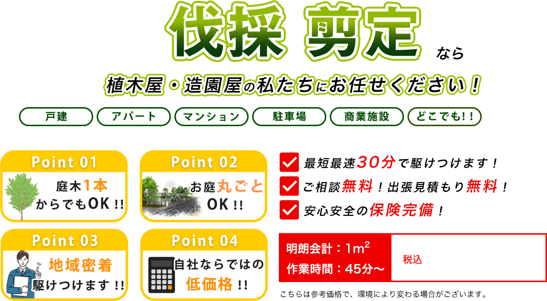 伐採 剪定なら植木屋・造園屋の私たちにお任せください！　最短最速30分で駆けつけます！　ご相談無料！出張見積もり無料！　安心安全の保険完備！